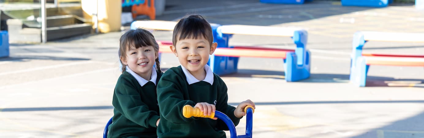 Ducklings at St. Helen's College